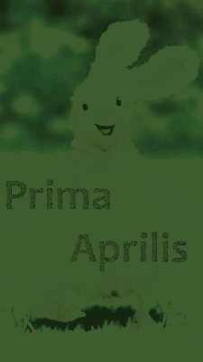 Kaczka z uszkami zająca Prima Aprilis